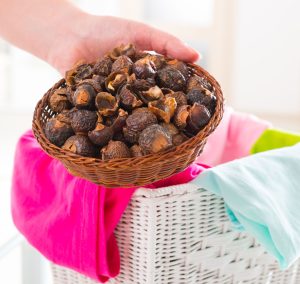 what can i use instead of laundry detergent soap nuts